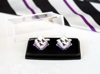 Treasurer's Report 2020